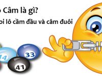 lo-cam-la-gi-lo-cam-mb-kinh-nghiem-soi-lo-cam-thien-ha-bet