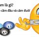 lo-cam-la-gi-lo-cam-mb-kinh-nghiem-soi-lo-cam-thien-ha-bet