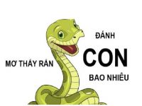 Mơ thấy rắn đánh con gì?